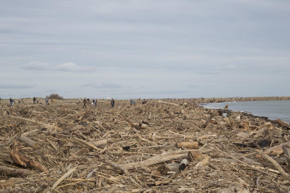 La plage envahie au lendemain des inondations 