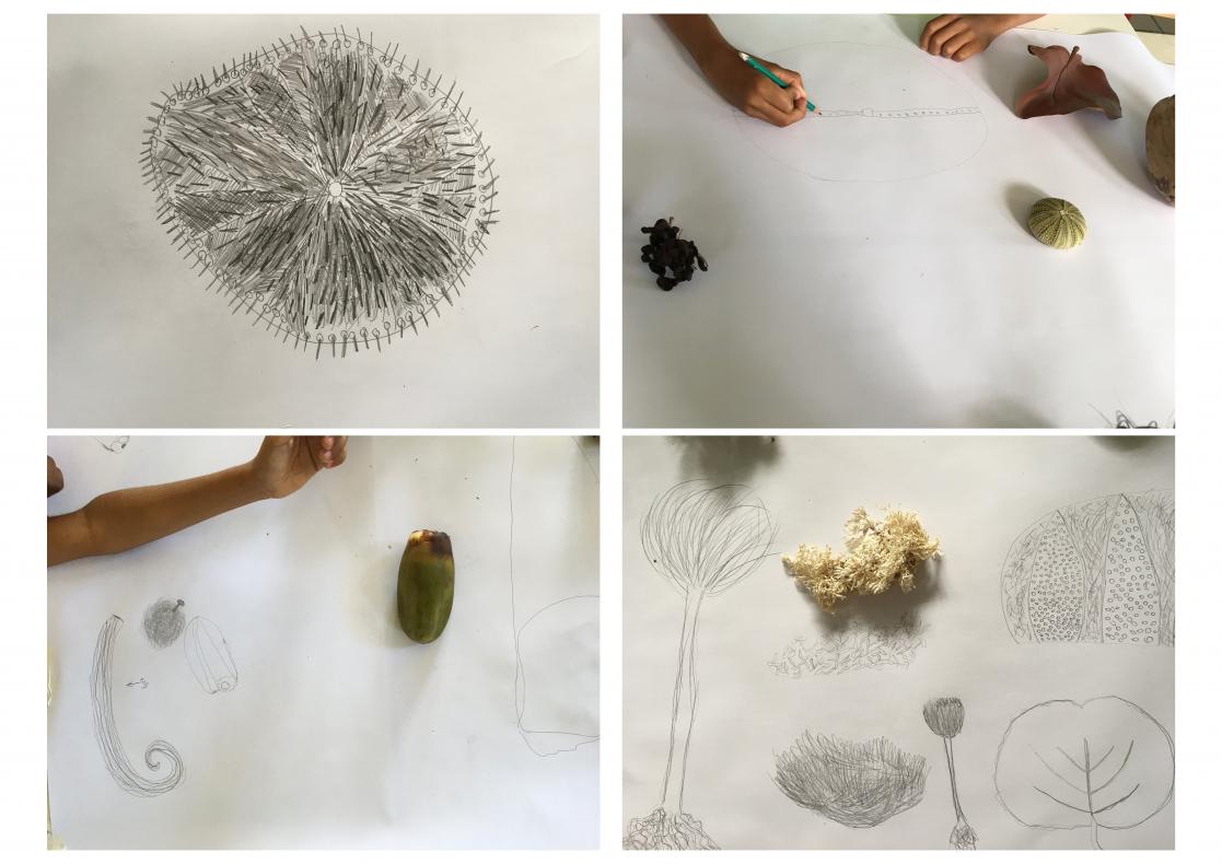 Séance de dessin d'observation 