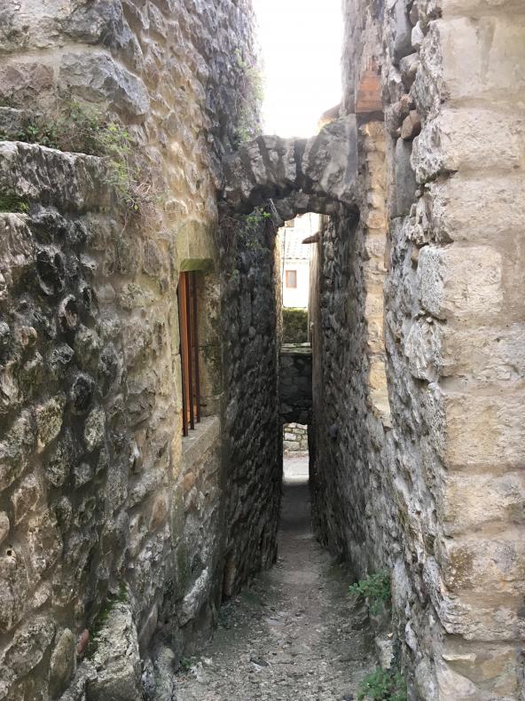La rue des puces 