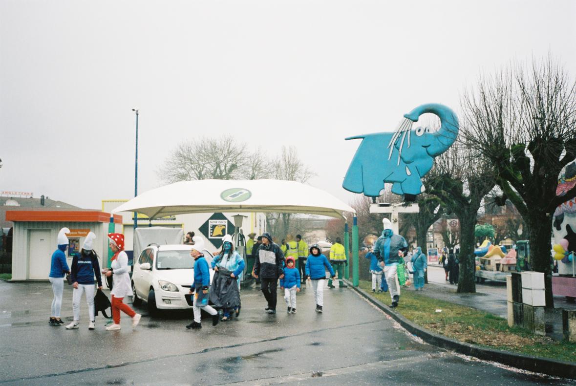 Les éléphants