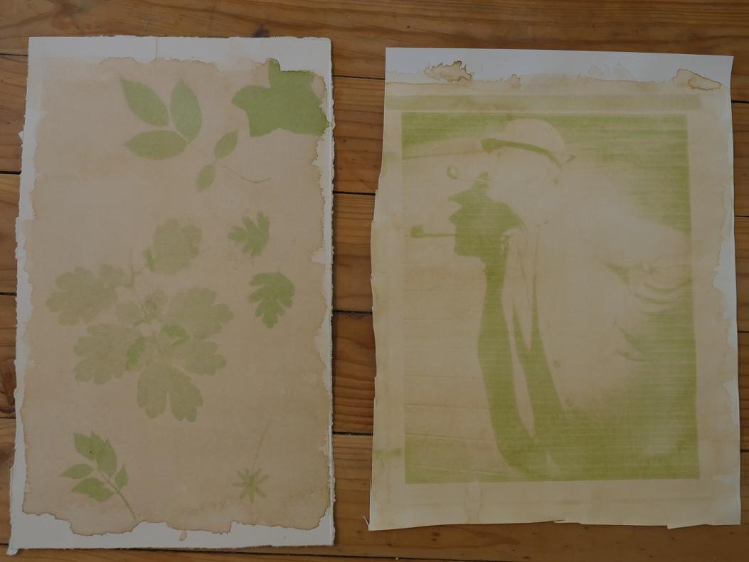 Anthotype
