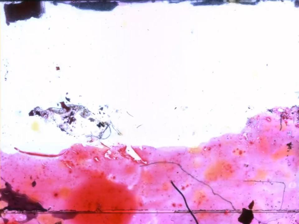photogramme 002