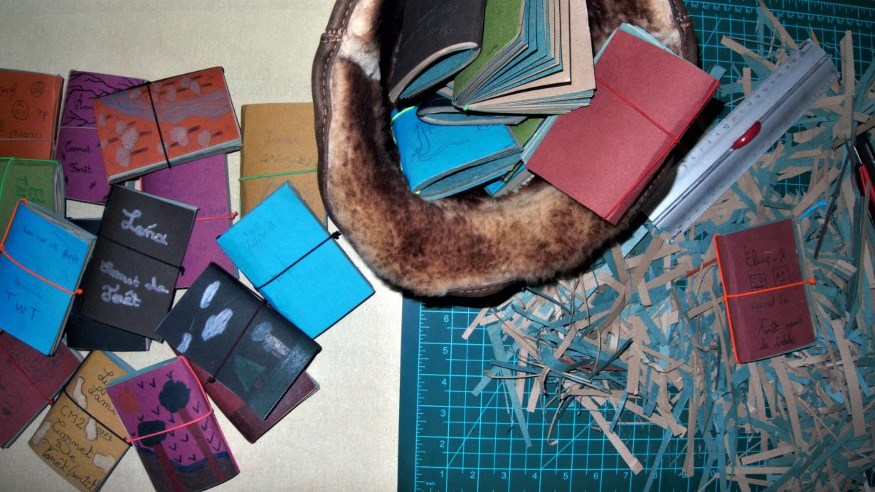 Carnets de forêt