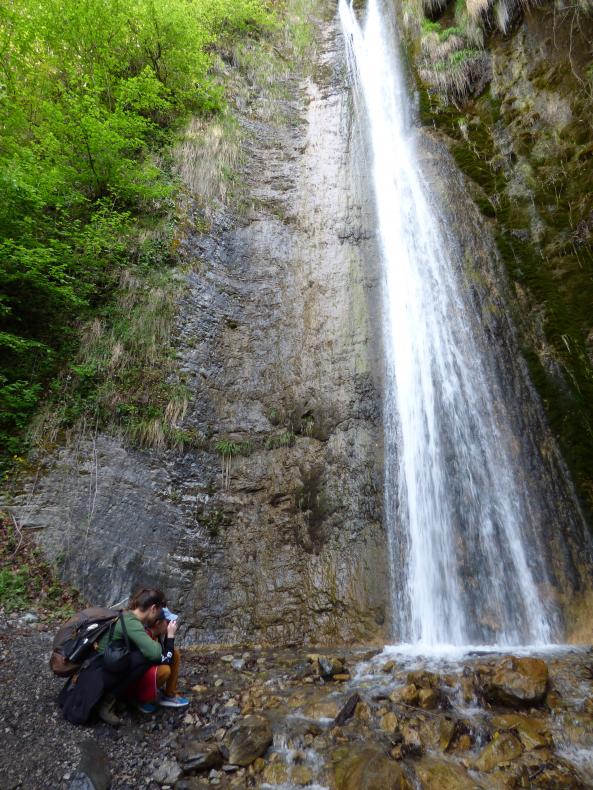 cascade