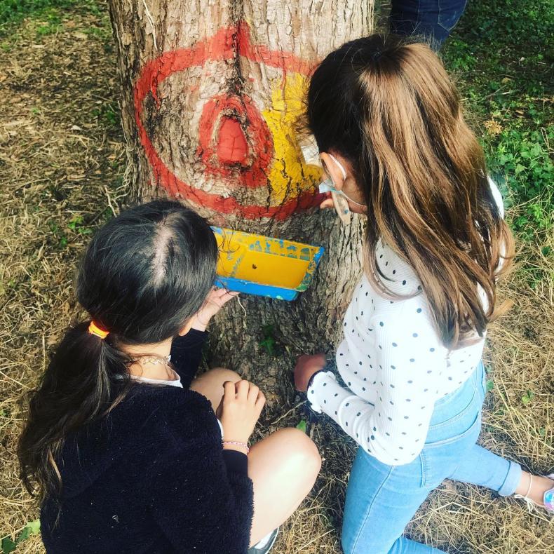 Peintures sur arbres 