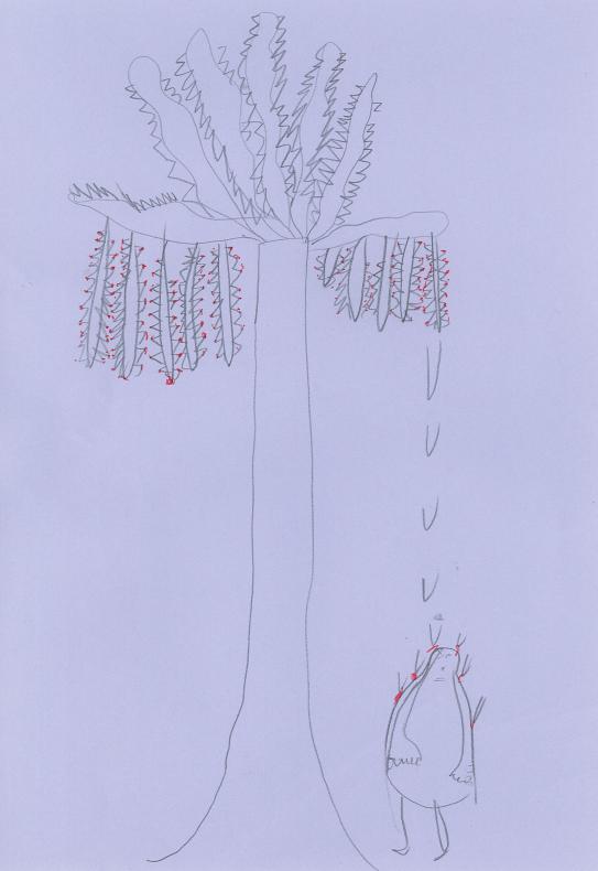 dessins
