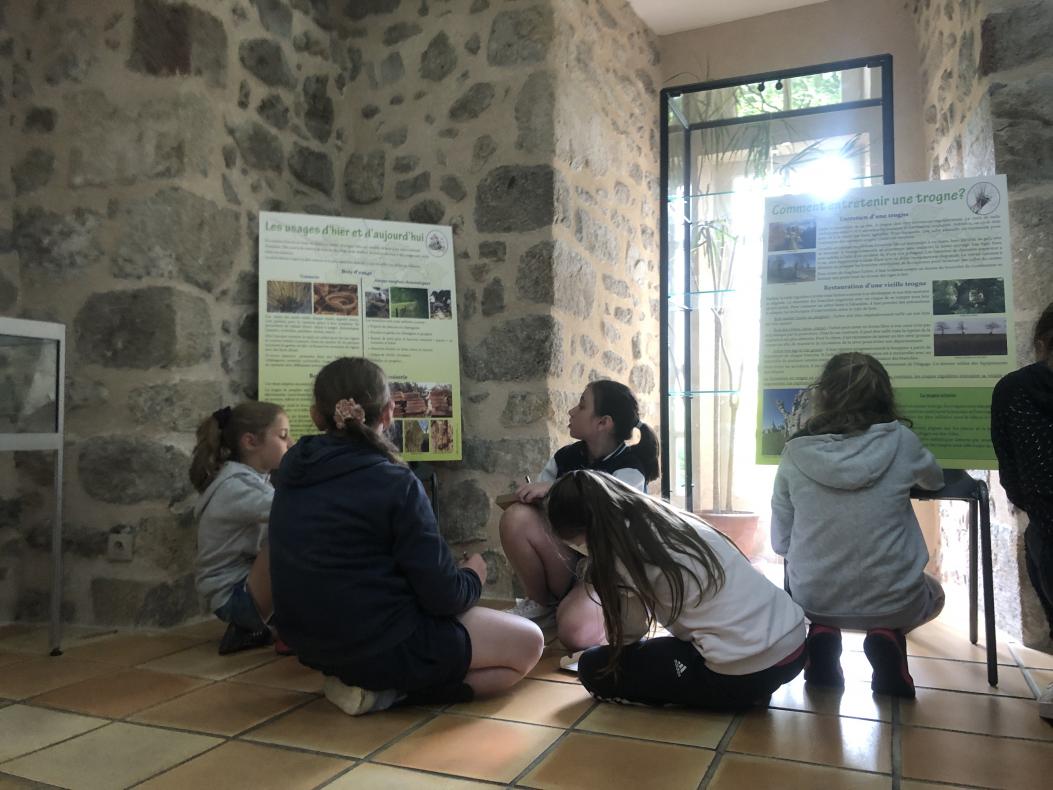 Les enfants au musée de la Combraille