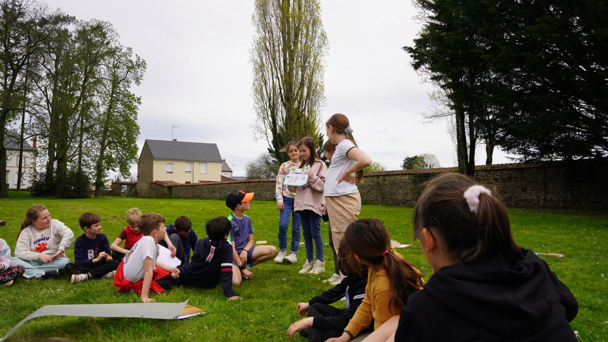 Présentation des dessins par groupe