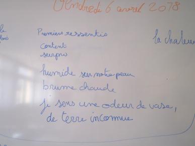 Écrire ensemble