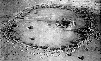 Tribu