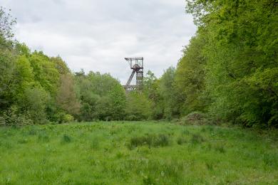 clairière et chevalement en forêt de St Clair