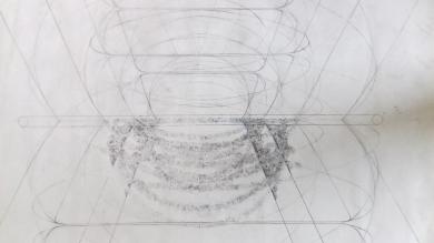 dessin système perceptif