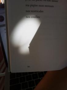 tous les mots vont bien dans ma bouche