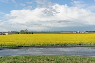 plaine panorama 02