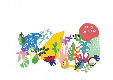 Couleurs et Flore