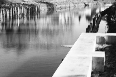 paysage Canal du Midi