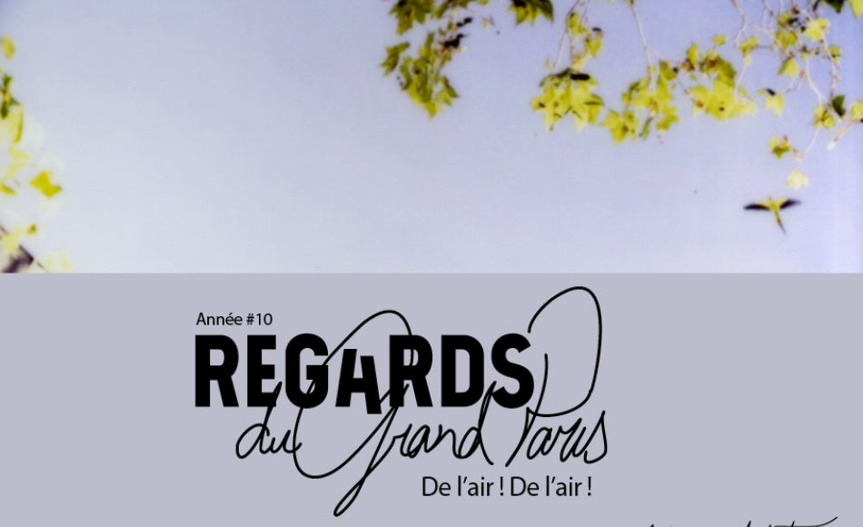 Sans titre, série (n=6-9) © Rebecca Topakian