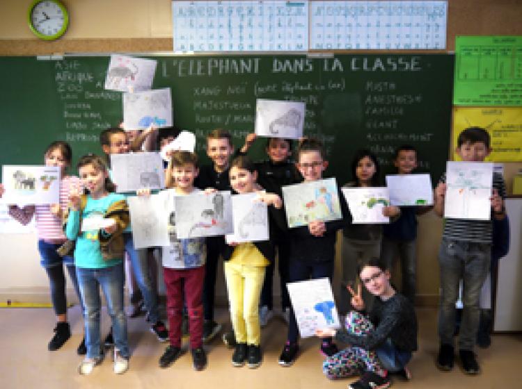 L’ÉLÉPHANT DANS LA CLASSE (1)