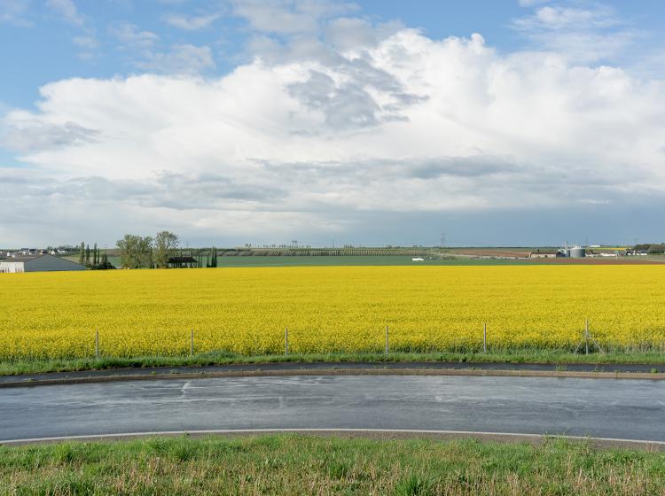plaine panorama 02