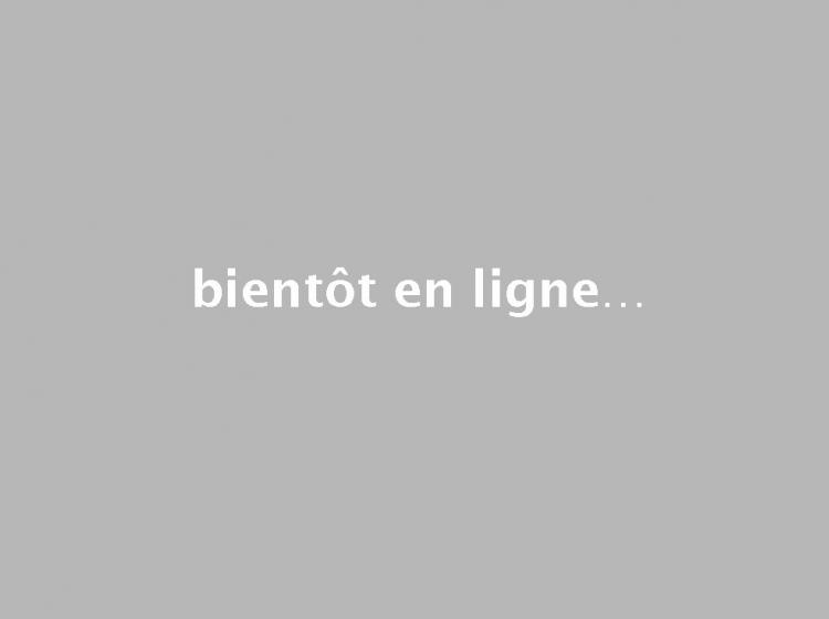 Bientôt en ligne