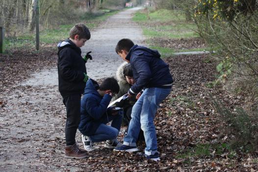 Enregistrement de sons naturels