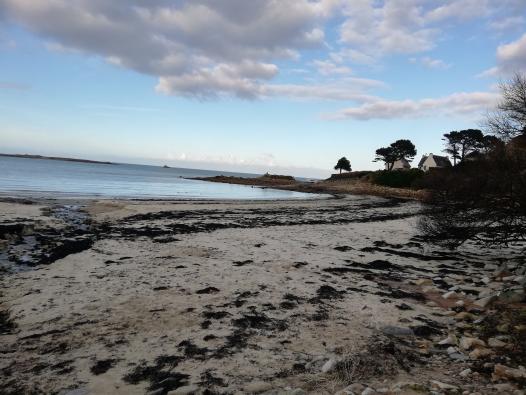 "Tu te souviens de la première fois que tu as enfoncé tes pied dans le sable chaud ? "