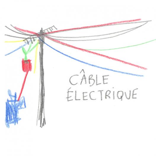 Câble électrique 