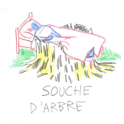 Souche d’arbre