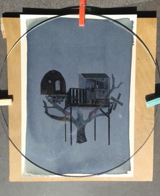 solarisation cyanotype
