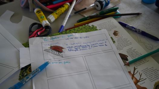 Recherches sur les arbres et leur environnement.