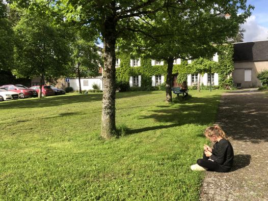 Observation des arbres