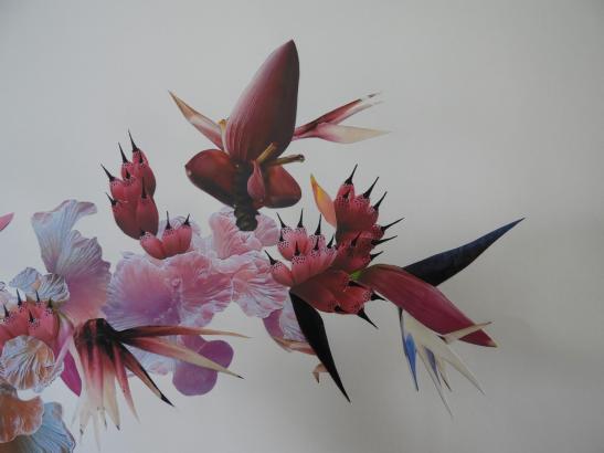 Le cabinet graphique