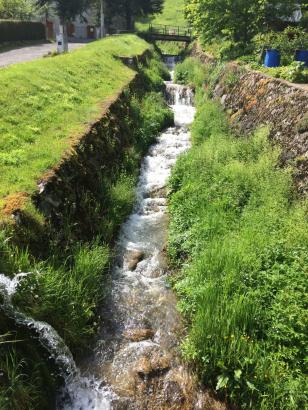Le ruisseau