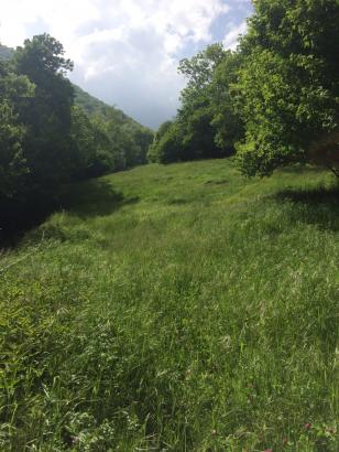 Un arrêt Brétigny