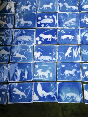 Cyanotypes "La Bête du Gevaudan" réalisés par les élèves de l'école primaire de Villefort et les 6ème du Collège