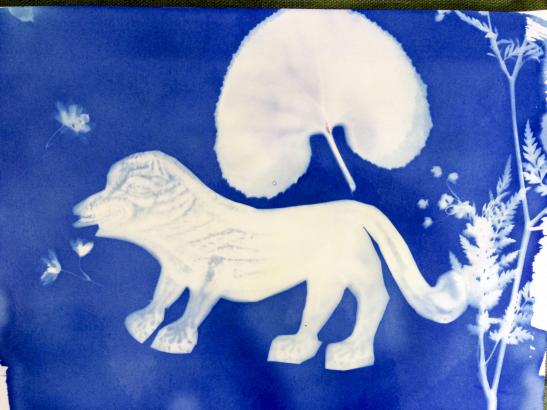 Cyanotypes "La Bête du Gevaudan" réalisés par les élèves de l'école primaire de Villefort et les 6ème du Collège