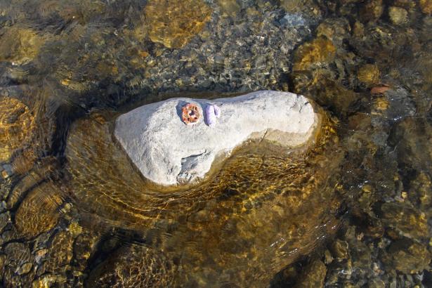 3. Installation sur la rivière : les mots des pierres émergentes