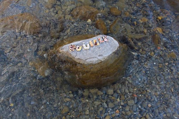 3. Installation sur la rivière : les mots des pierres émergentes