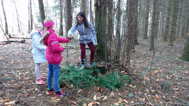 un peu de land art pour commencer