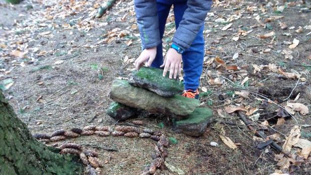 un peu de land art pour commencer