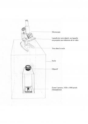 Titre : Vision microscopique, installation (microscope, lamelle en verre dépoli, projection numérique)