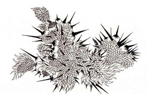 Série Pikan chadwon, 2017, inspirée de la flore, réalisé à l'encre de chine