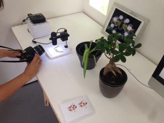 Exemple d'installation pour vjing experimentale, récupérer les images d'un microscope, filmer les plantes pour réutiliser les images lors d'une projection.