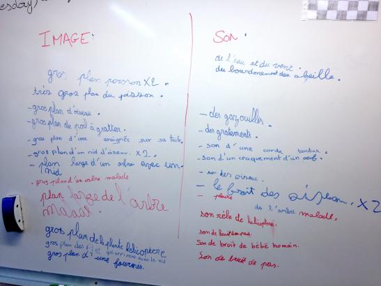 Préparation du tournage : choix des plans, à l'image et au son.