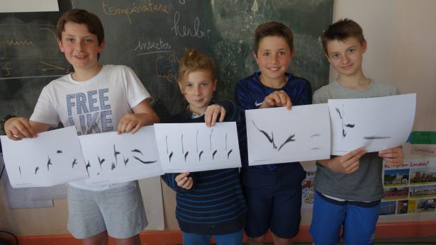 Spectrogramme intégral de la séquence de chant des Chardonnerets élégants (Alexis, Nathan, Justin et Romain)