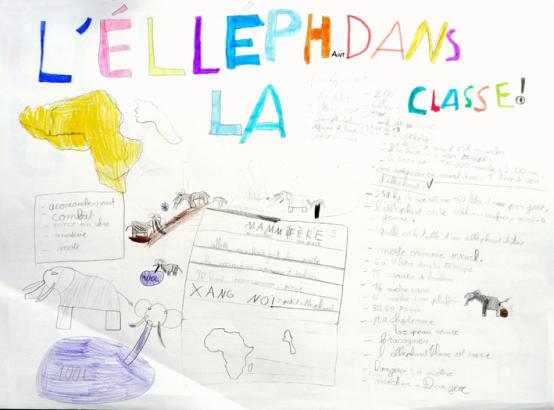 L’ÉLÉPHANT DANS LA CLASSE (1)