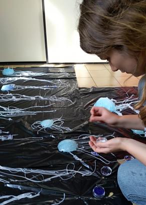 Visites de l’atelier : l’évolution des méduses immortelles