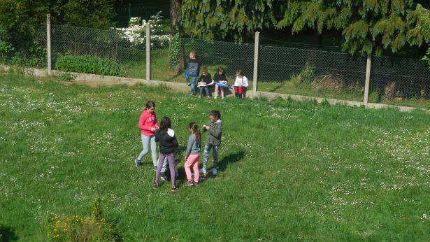 Le printemps - les fleurs poussent sur la pelouse