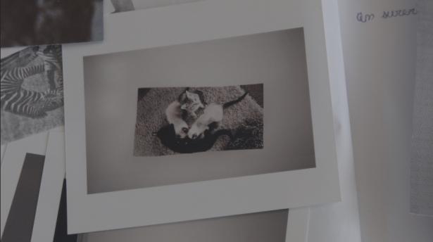 Cette photo est liée à un souvenir joyeux et précis d'Emma. Elle a choisi par la suite de présenter cette image à l'exposition de fin d'année.