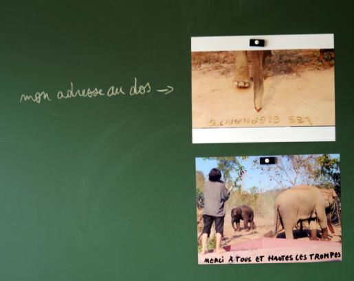  L’éléphant dans la classe, exposition (10)